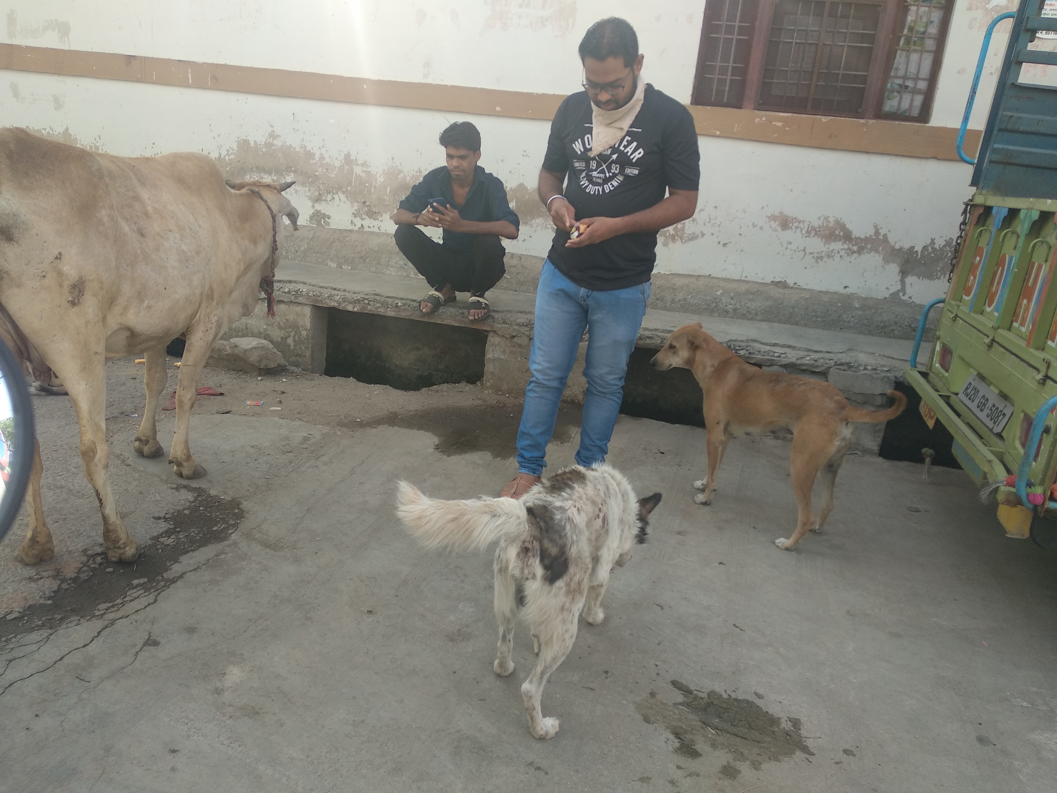 animal-care-love-dogs-saviours-foundation-charitable-trust-kota-a