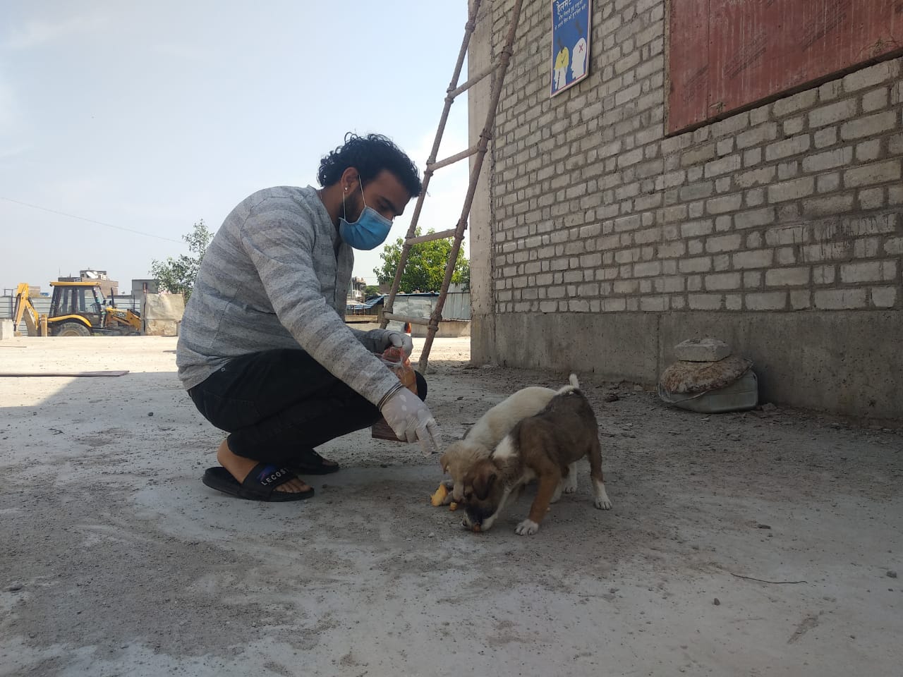 animal-care-love-dogs-saviours-foundation-charitable-trust-kota-g