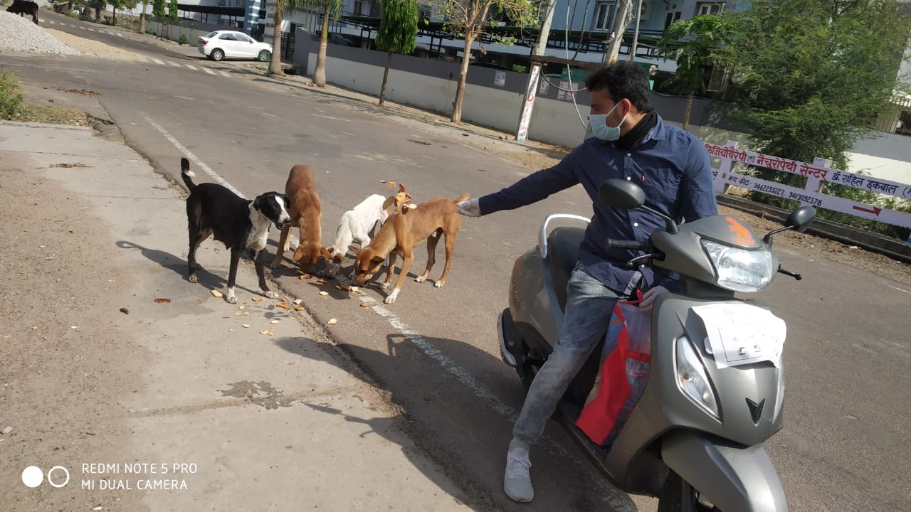 animal-care-love-dogs-saviours-foundation-charitable-trust-kota-m