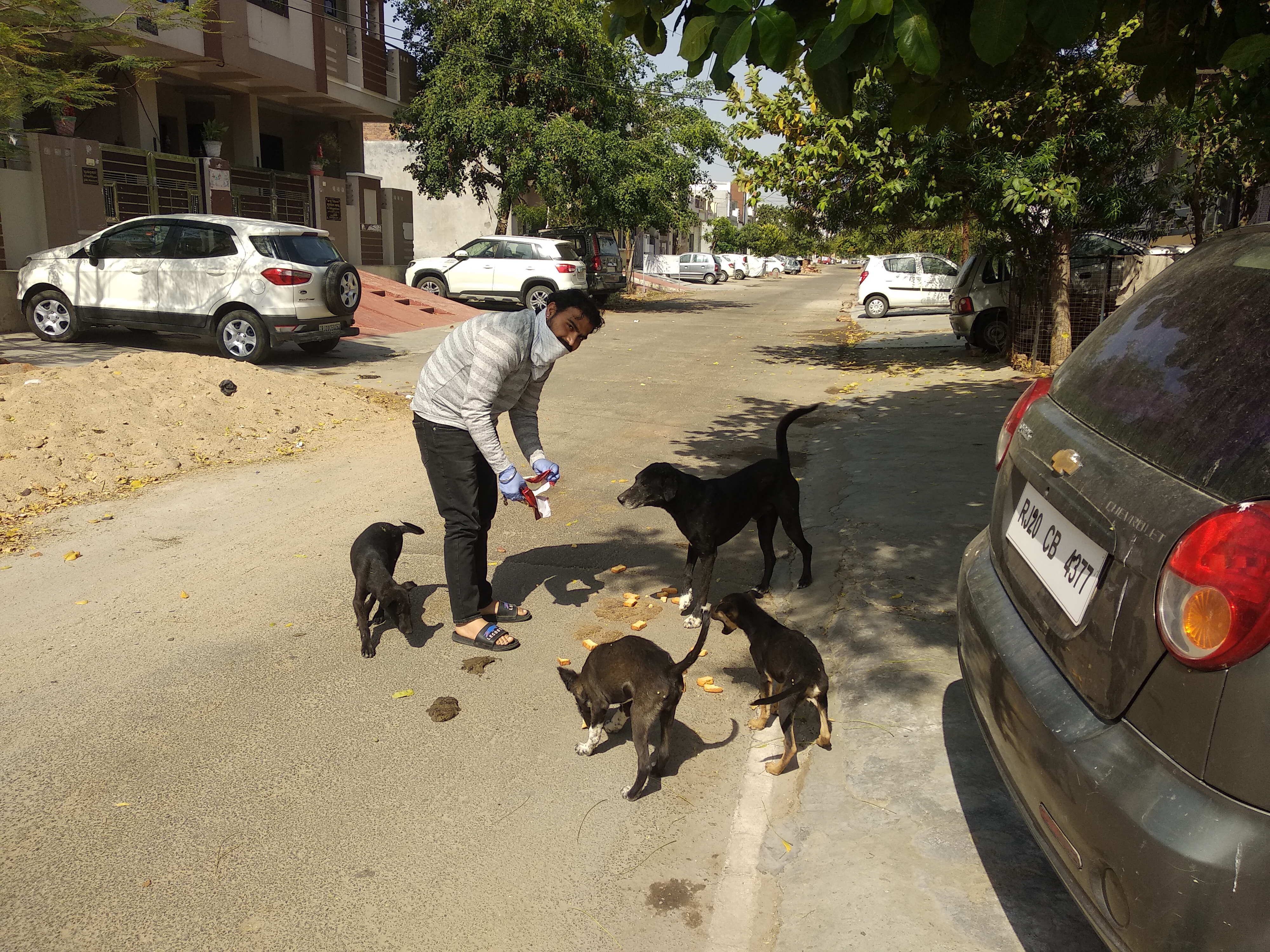 animal-care-love-saviours-foundation-charitable-trust-kota-a