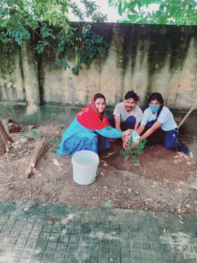 tree-plantation-nature-alwar-saviours-foundation-charitable-trust-kota-a