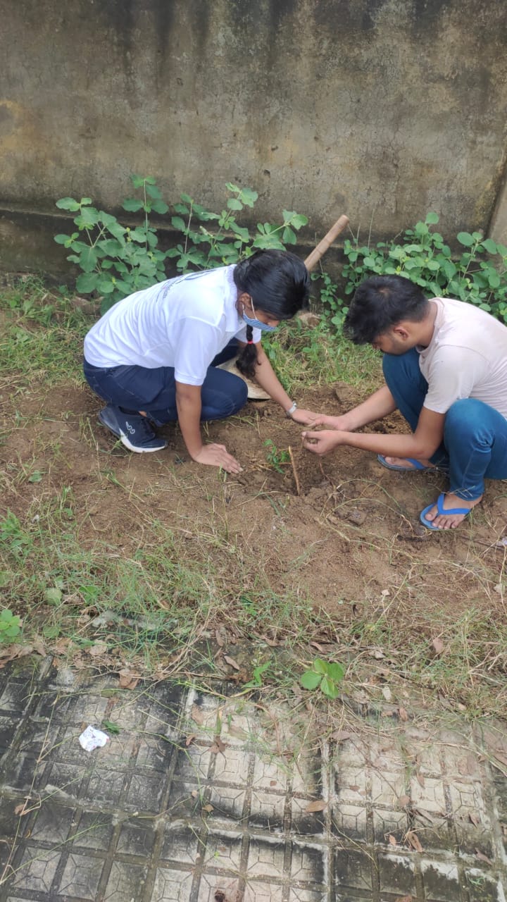 tree-plantation-nature-alwar-saviours-foundation-charitable-trust-kota-b