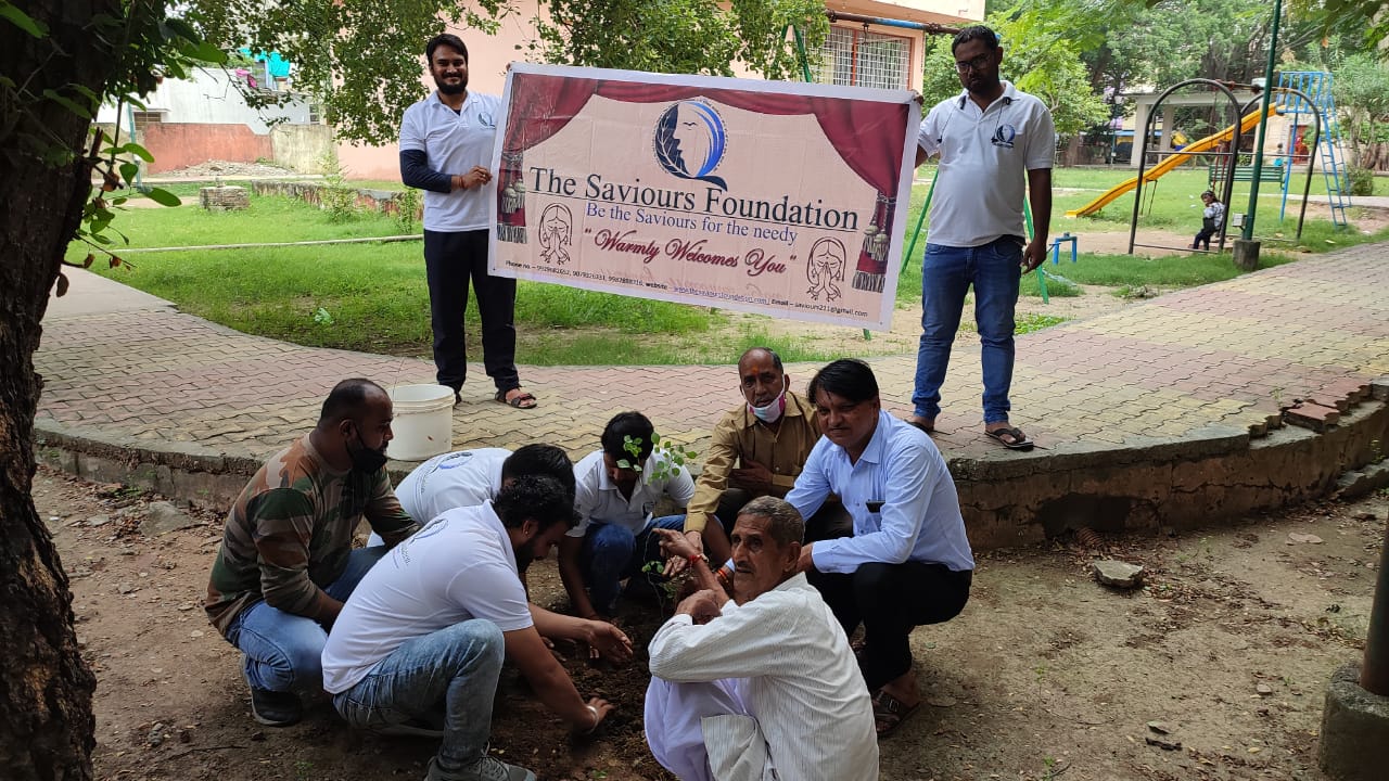 tree-plantation-nature-bhilwara-saviours-foundation-charitable-trust-kota