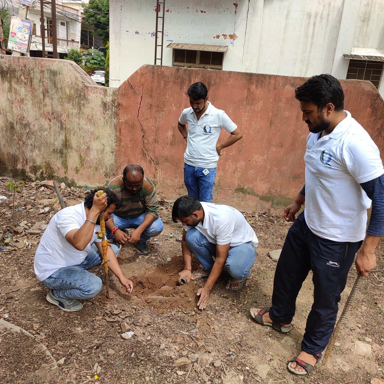 tree-plantation-nature-dausa-saviours-foundation-charitable-trust-kota-a