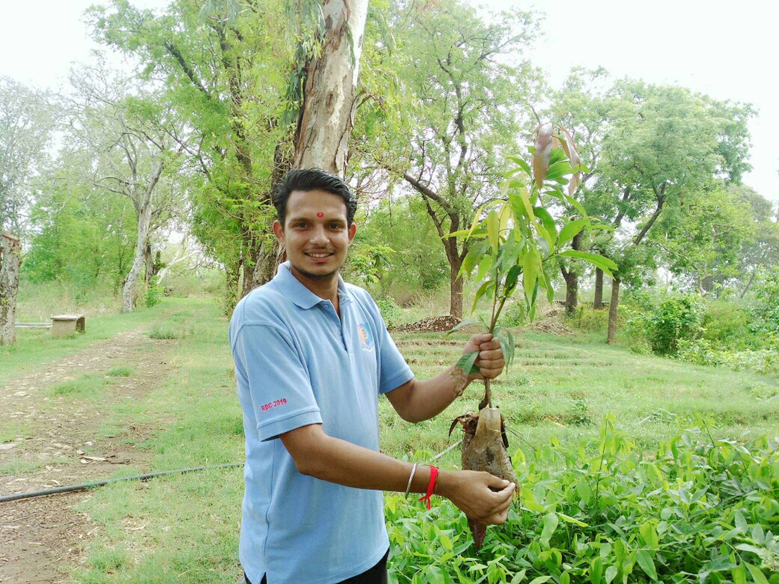 tree-plantation-nature-jhalrapaatan-saviours-foundation-charitable-trust-kota-a