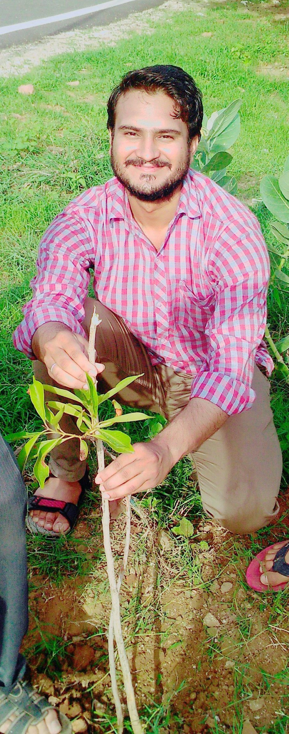 tree-plantation-nature-pipalda-saviours-foundation-charitable-trust-kota